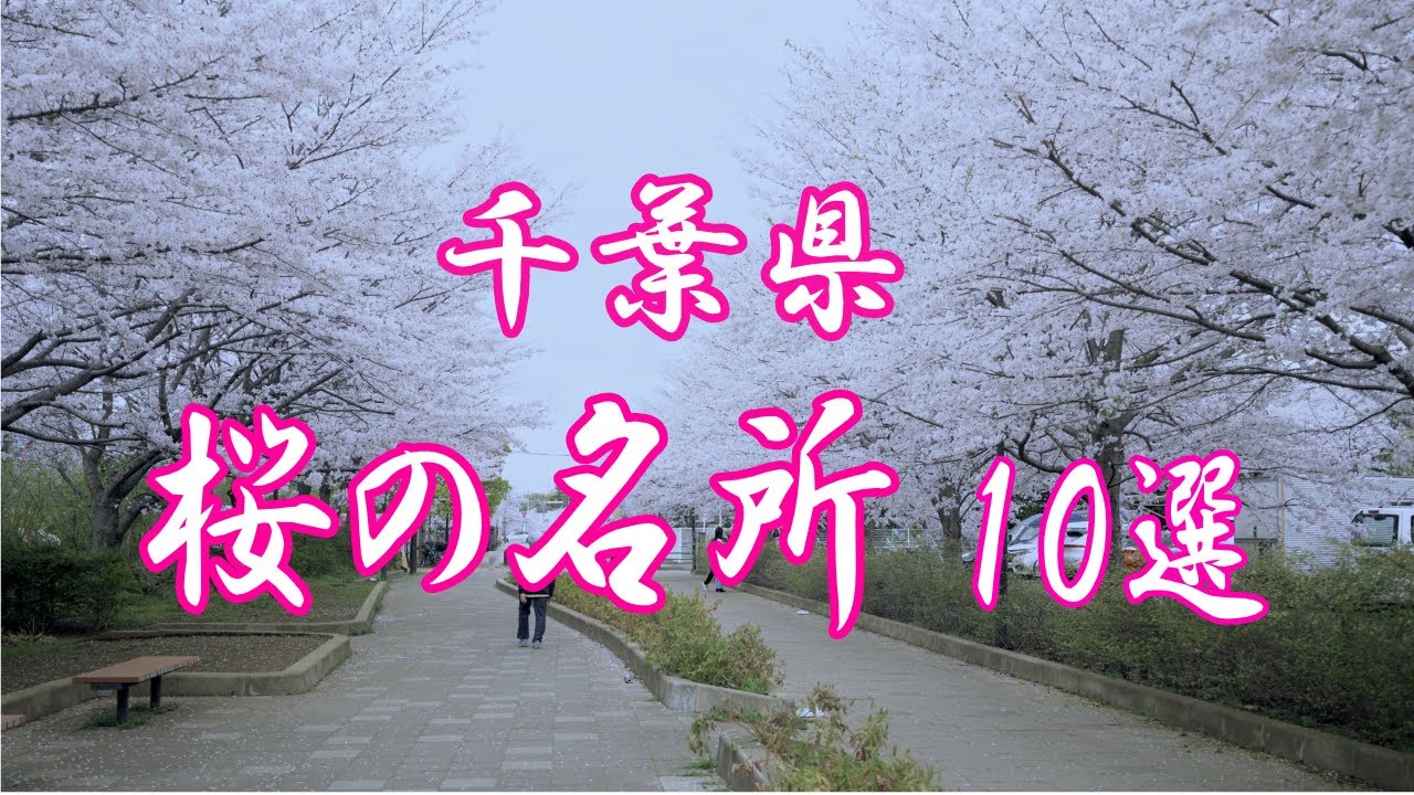 〖4K〗行ってみよう  ❣   千葉県「桜の名所」10選