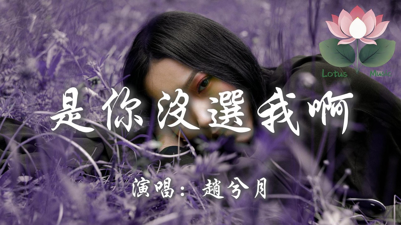 趙兮月 - 是你沒選我啊『是我沒等你嗎 是你沒選我啊 連靠近都怕打擾你的傻瓜 都變成了笑話』【動態歌詞MV】