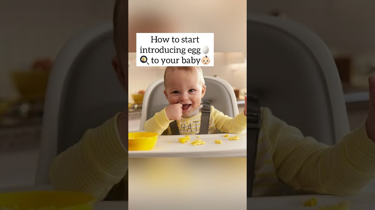 How to introduce egg🥚 to your baby