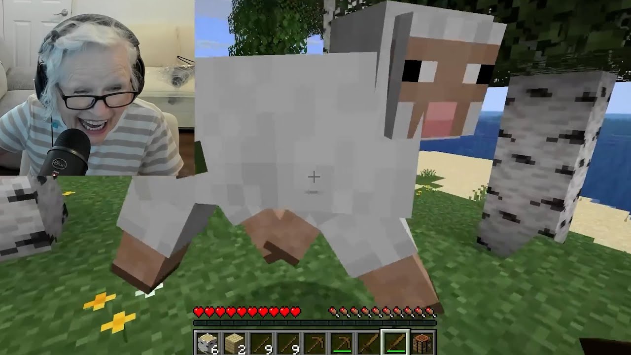 Grandma's Gaming YouTube Page Raises Money For Grandson's Cancer
