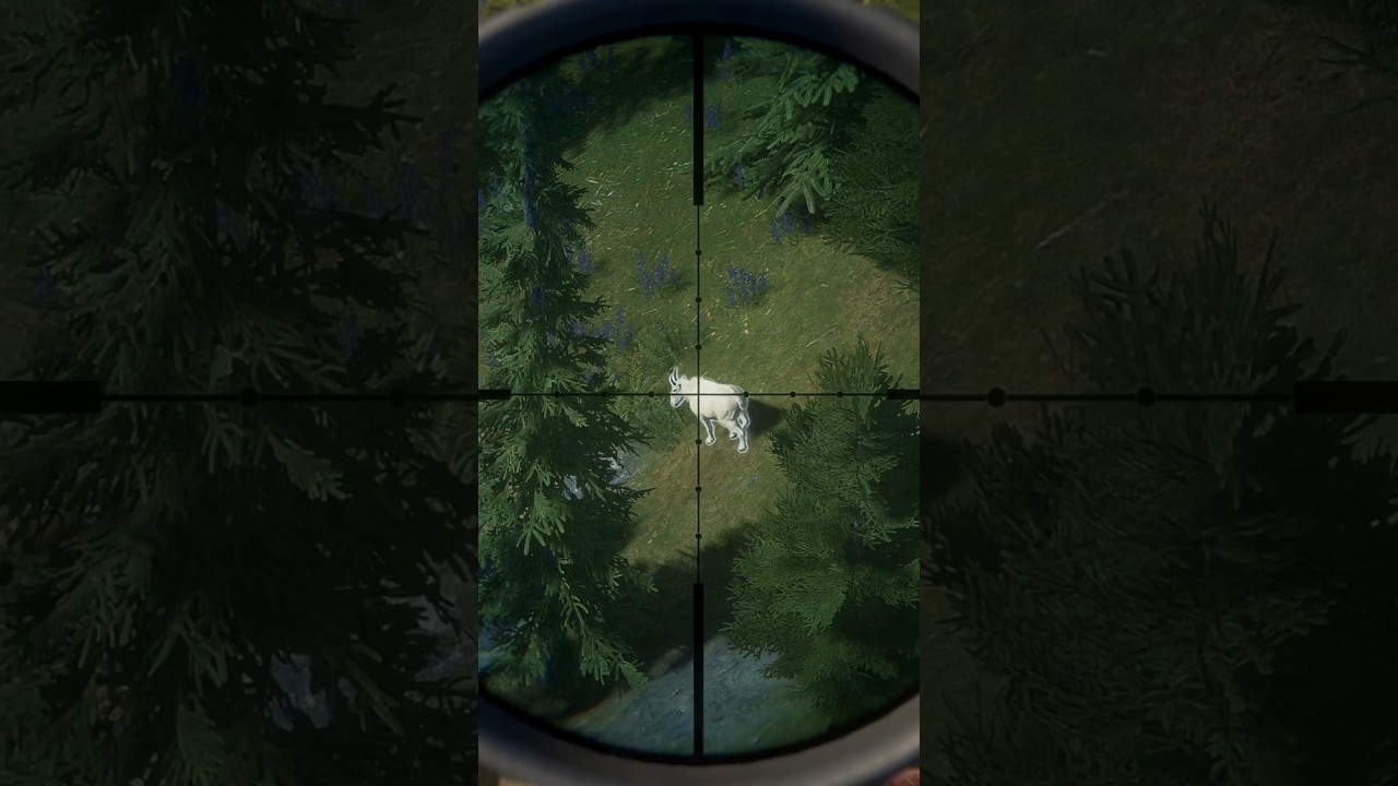 🔥Niesamowite Polowanie Na Śnieżne Kozły w The Hunter Call of the Wild!