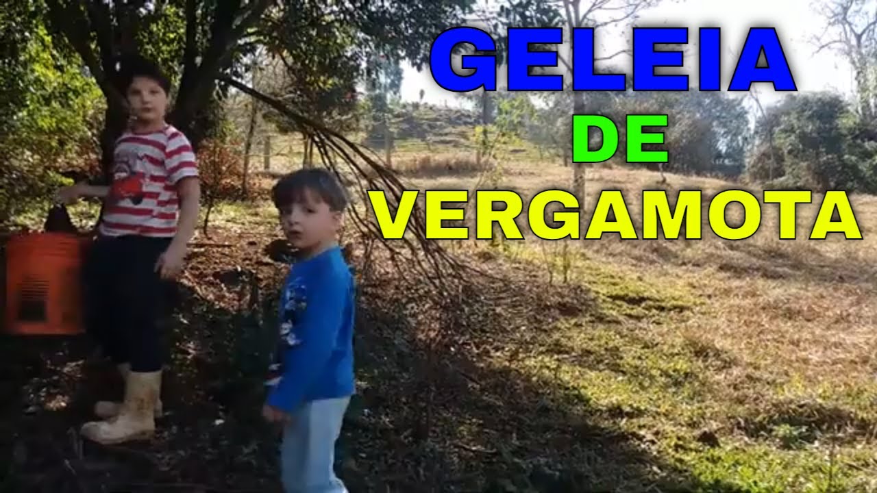 GELEIA (CHIMIA) DE VERGAMOTA, BERGAMOTA, MEXERICA !!!