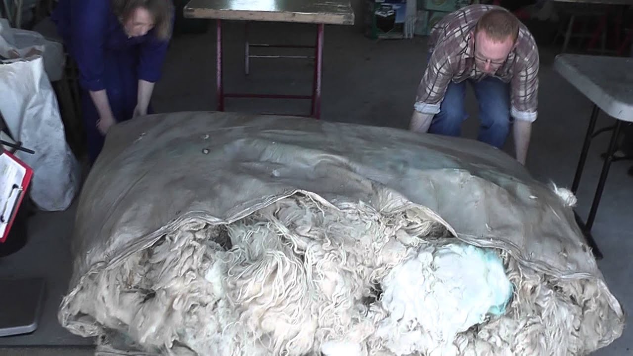 Uist Wool - Sorting fleece