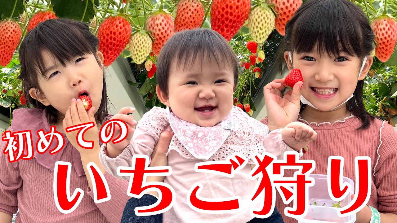 【念願】初めて本物のいちご狩りに行ってきました！