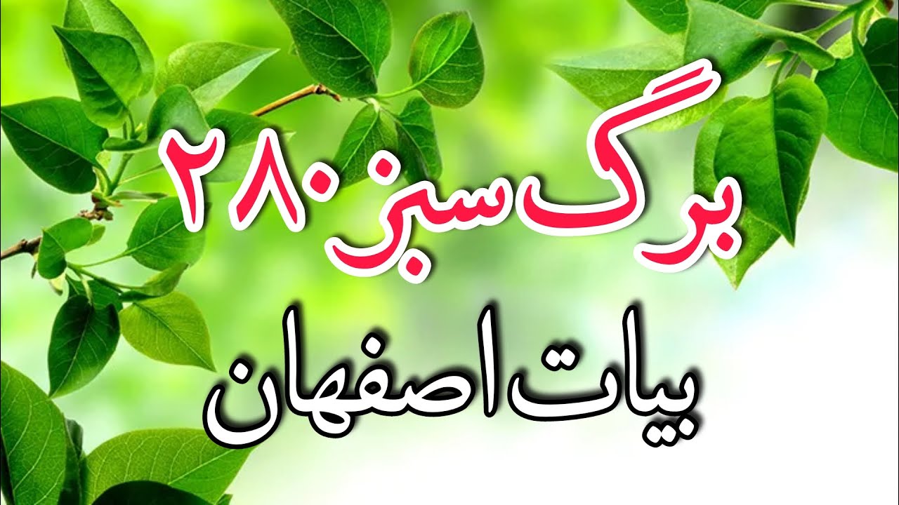برگ سبز 280