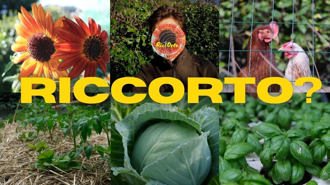 CHI E' RICCORTO? BHE, SONO IO!