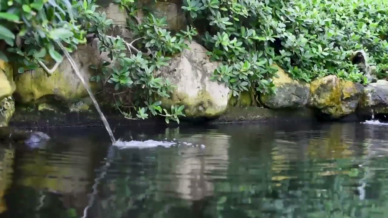 Water Sounds for Sleep or Focus | White Noise Stream 8 Hours