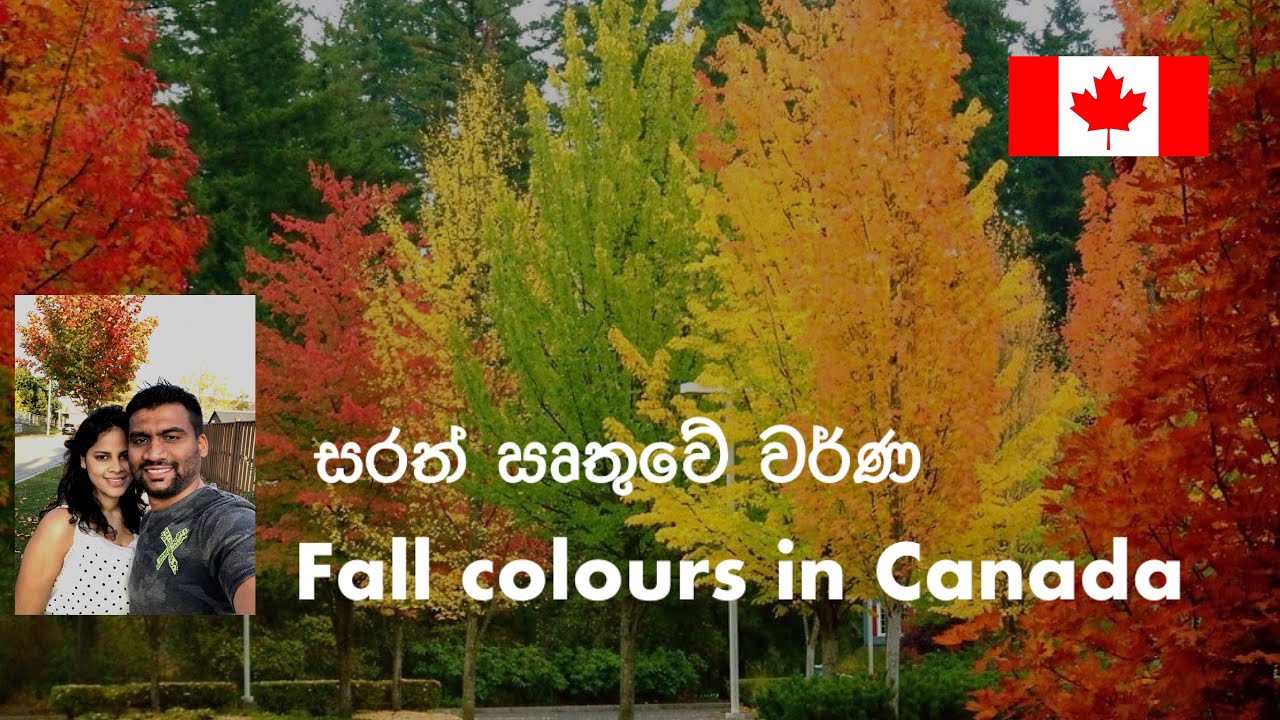 Beautiful fall colors in Canada