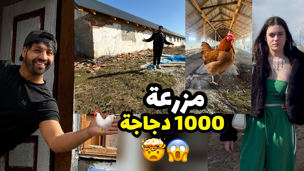 😁 لقيت مزرعة مهجورة في أوكرانيا… بداية مشروع 1000 دجاجة!