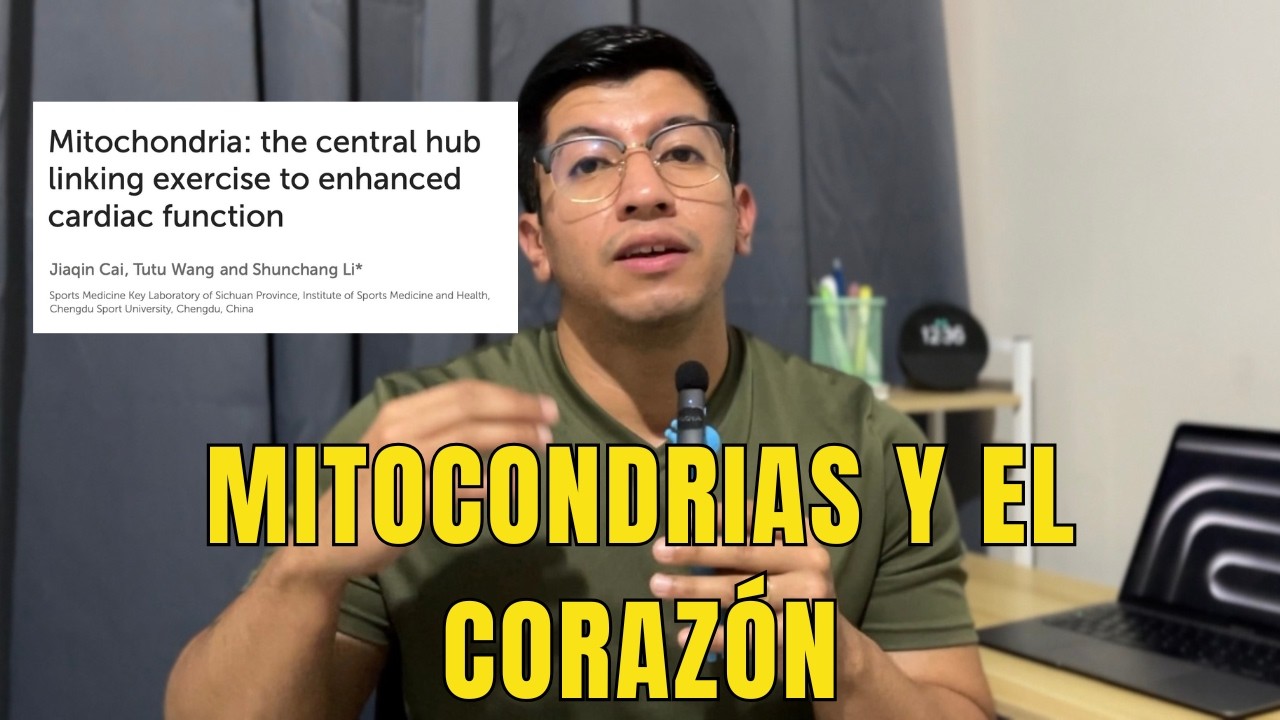 Ejercicio, Mitocondrias y Corazón, ¿Qué Relación Tienen?