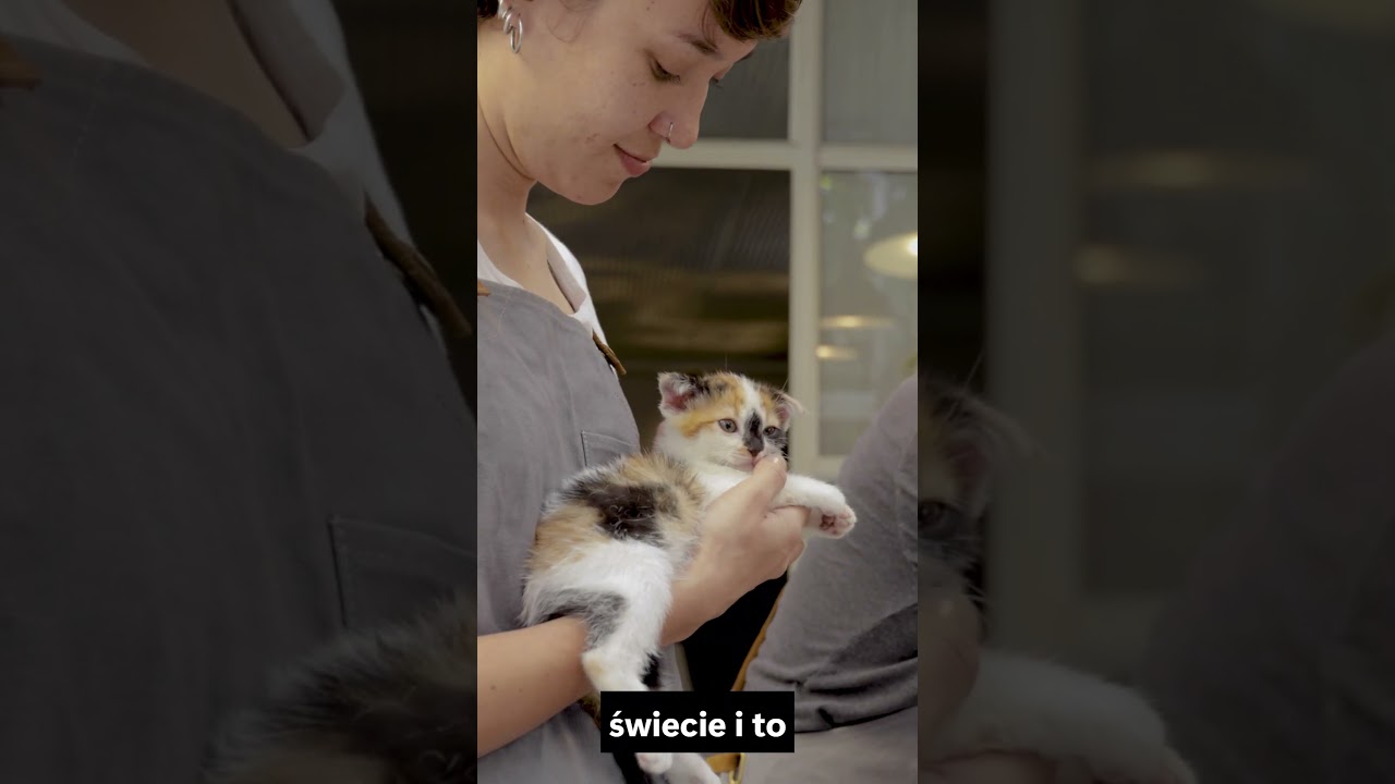 Jeśli Tw&oacute;j Kot Śpi Na Twojej Klatce, Oto Co To NAPRAWDĘ Znaczy!
