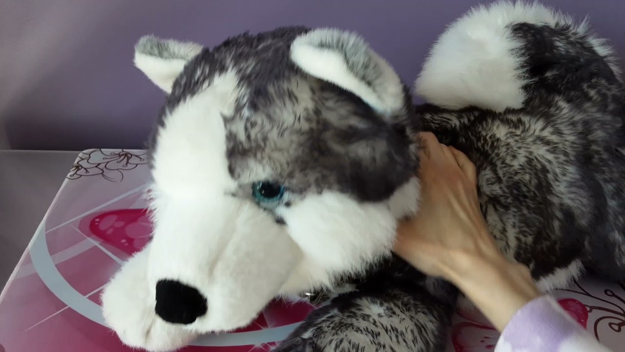 Unboxing the Aurora Super Mush Husky Plush Dog 🐺🐾