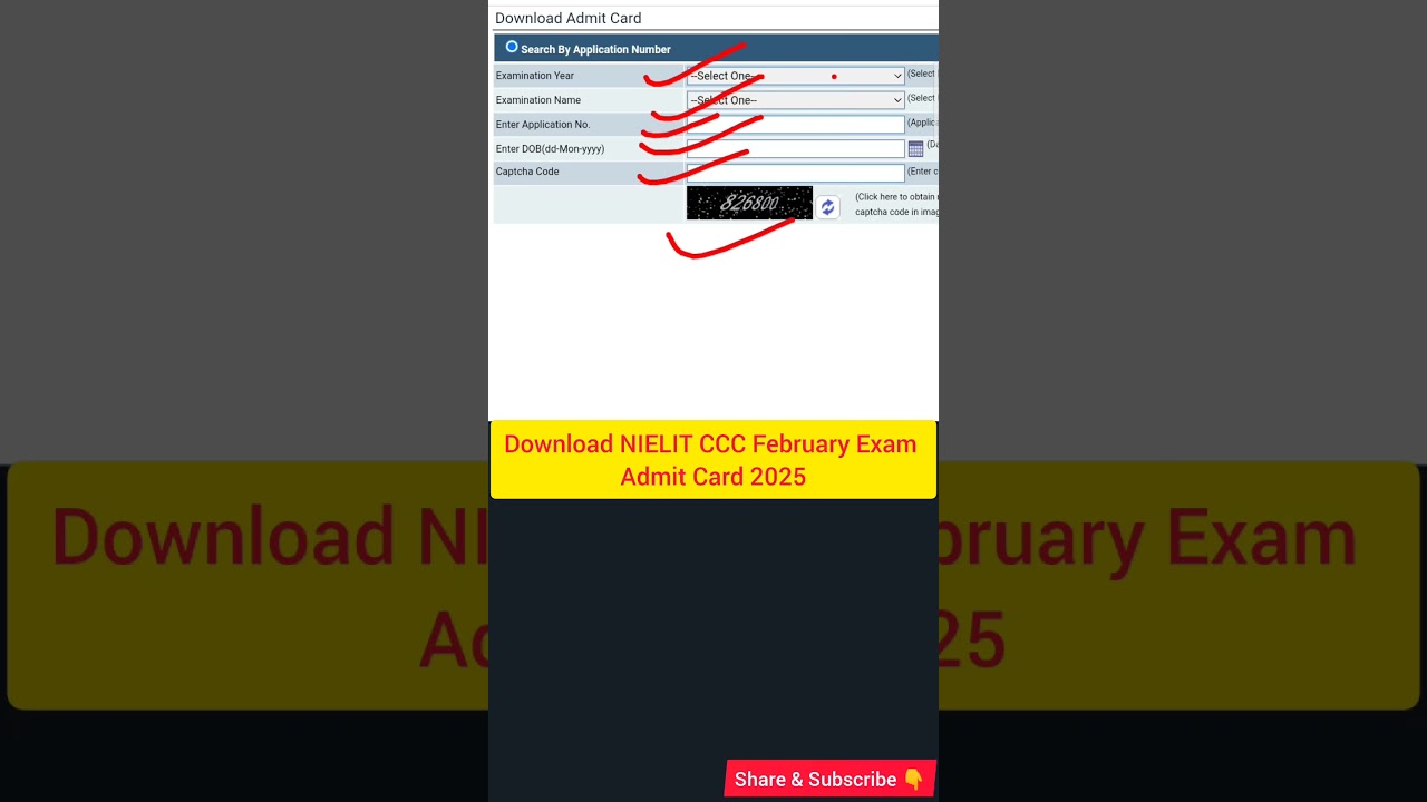Download NIELIT Course on Computer Concepts (CCC) Exam February Admit Card 2025 || Hall Ticket