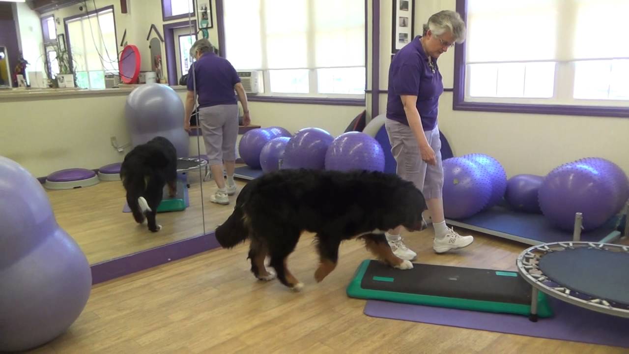 Spinal Stretches with the Toto Fit INFINITY