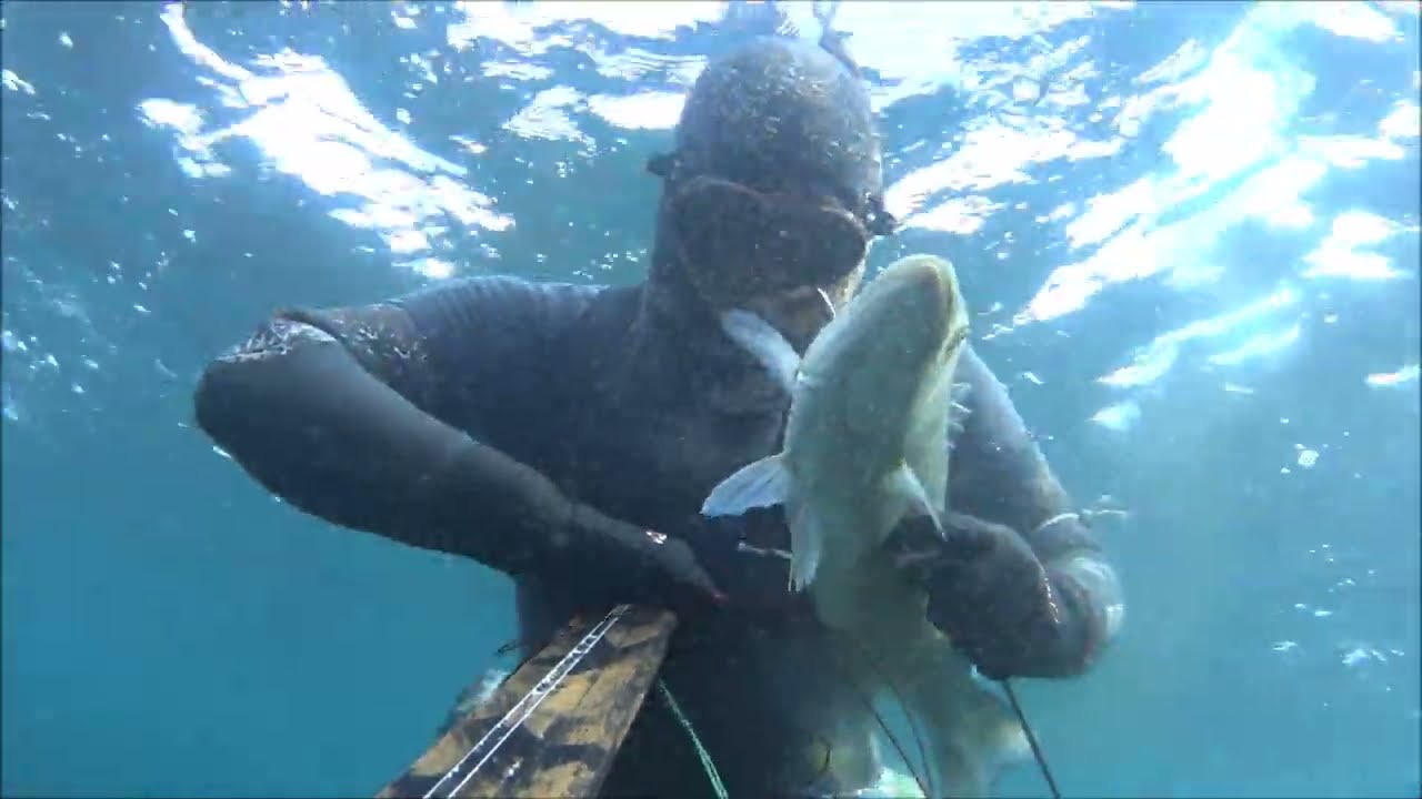 hitman spearfishing - winter hunters