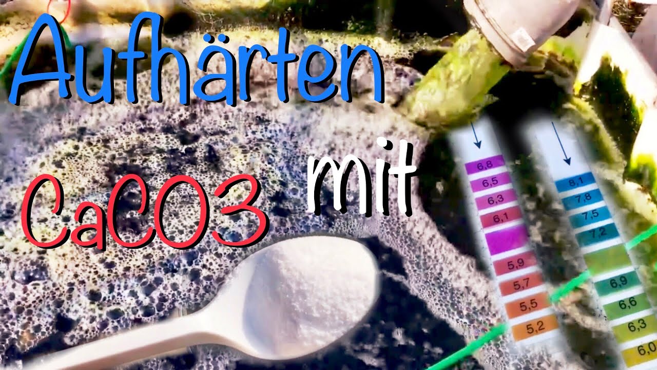 Koiteich aufhärten mit Calciumcarbonat CaCO3