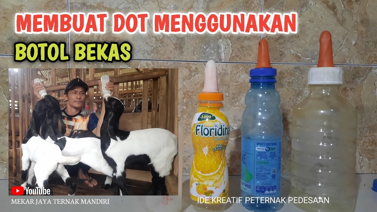 CARA MEMBUAT NIPEL DOT MENGGUNAKAN BOTOL BEKAS | Buat Ngedot anak kambing