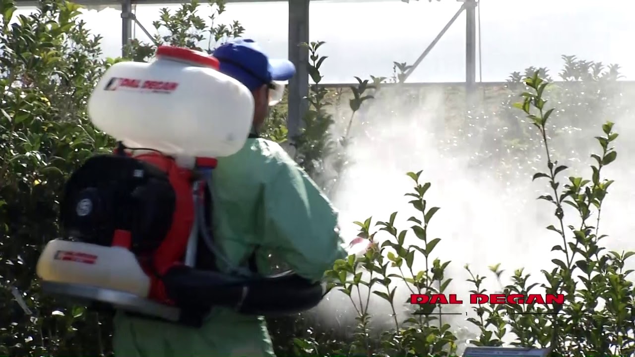 DK200 Atomizzatore a Spalla
