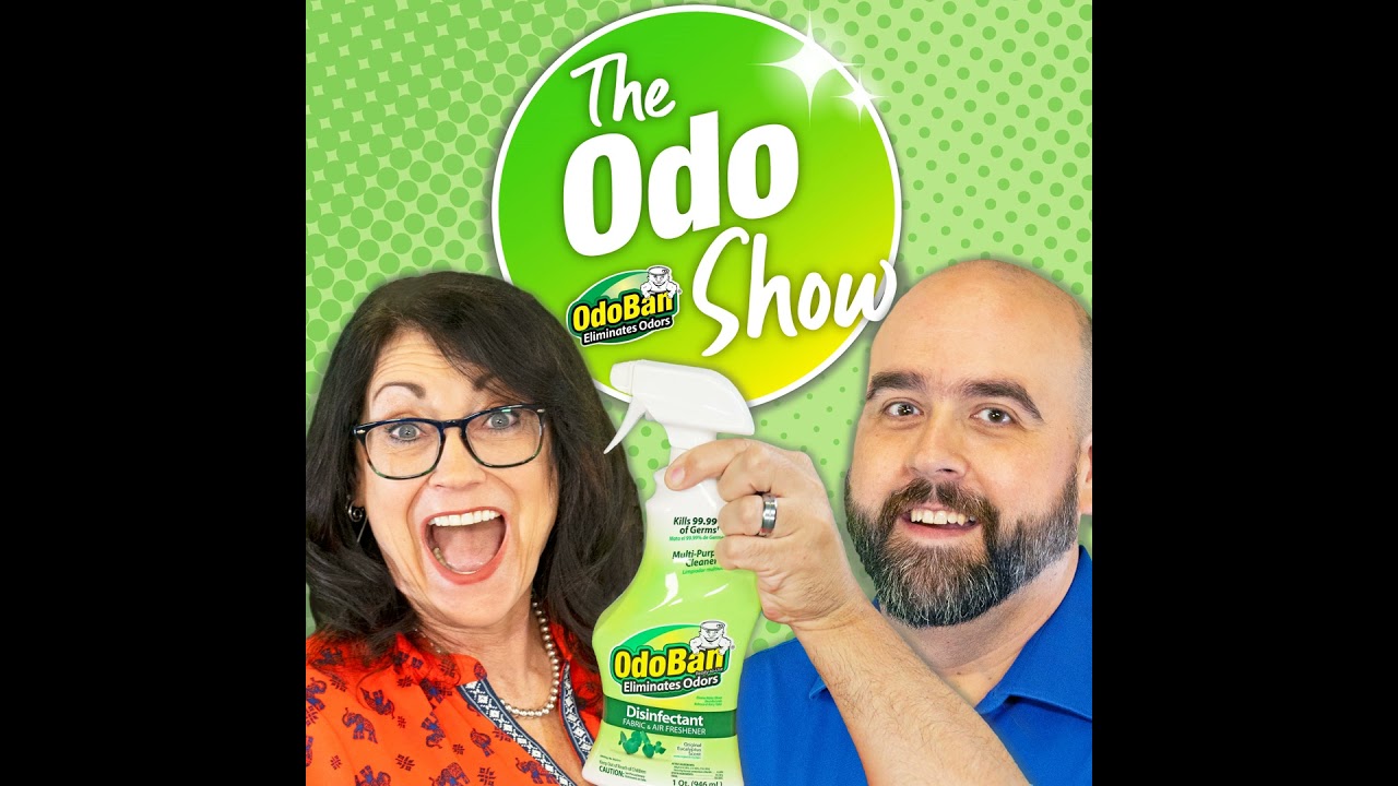 Why Do My Clothes Stink? (It's Mold!)