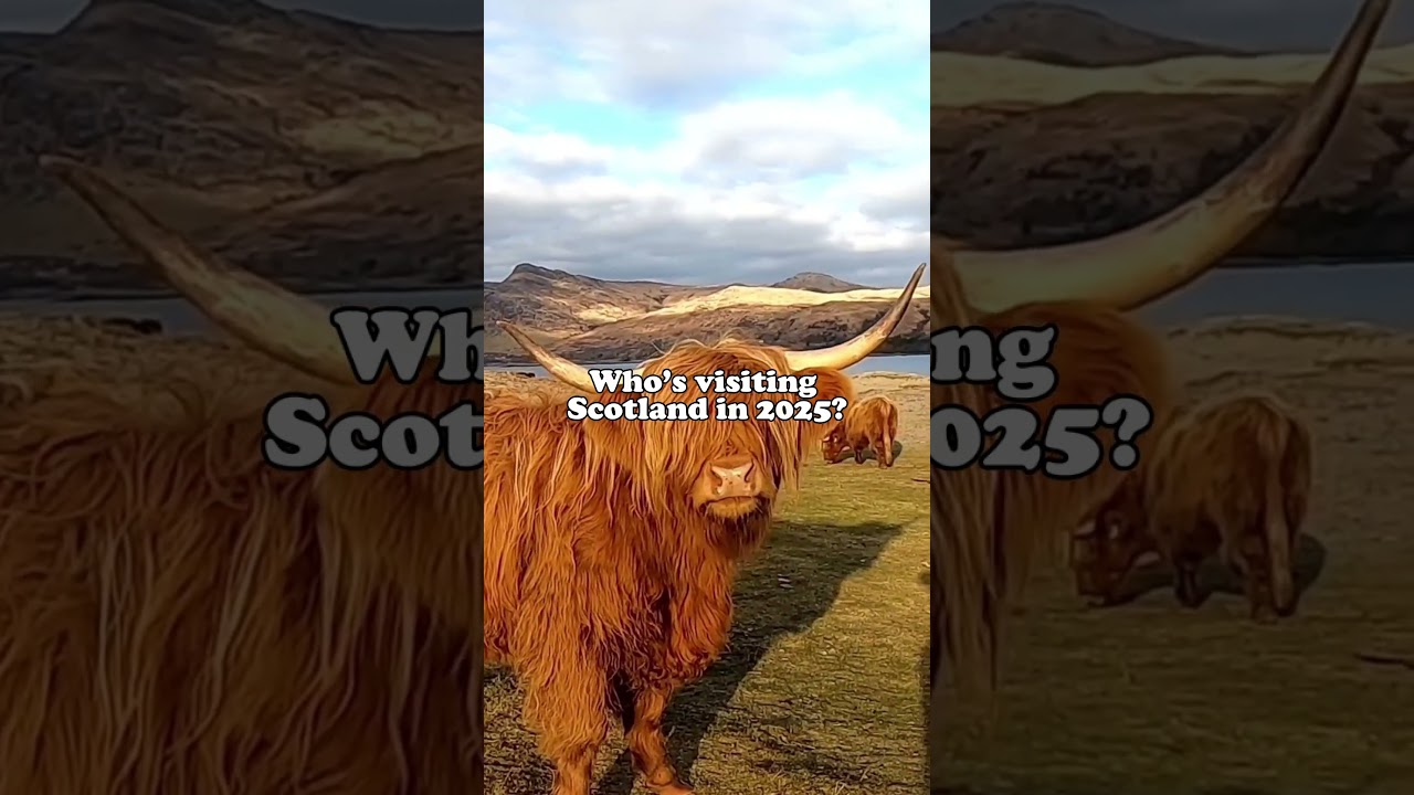 Who's visiting Scotland in 2025? 💙