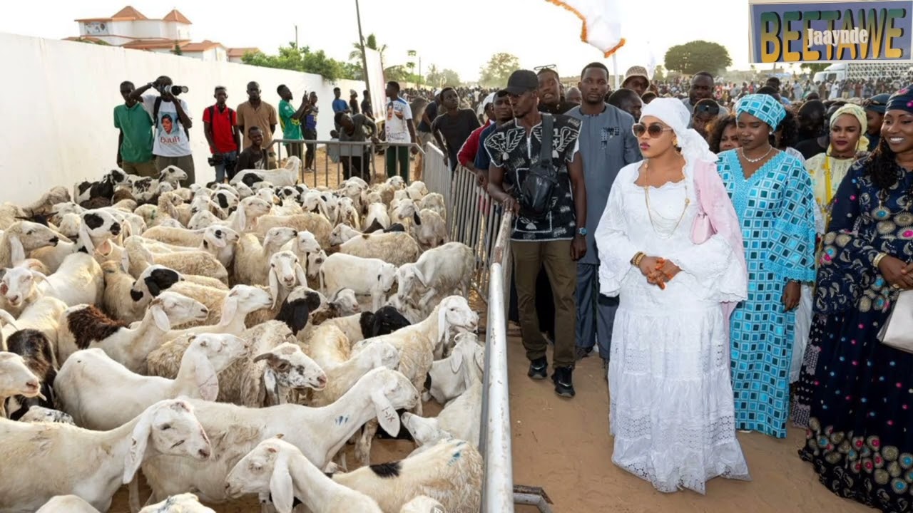 Magal 2025 To Mbuur Legal Médinatul Salam.kollirgol Mbaludi Ayda Jallo Serigne Saliou