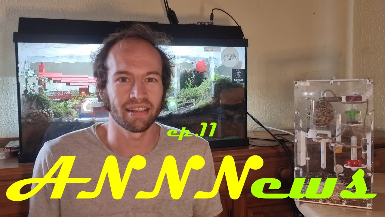 ANN News Ep-11 - Ant News Network News