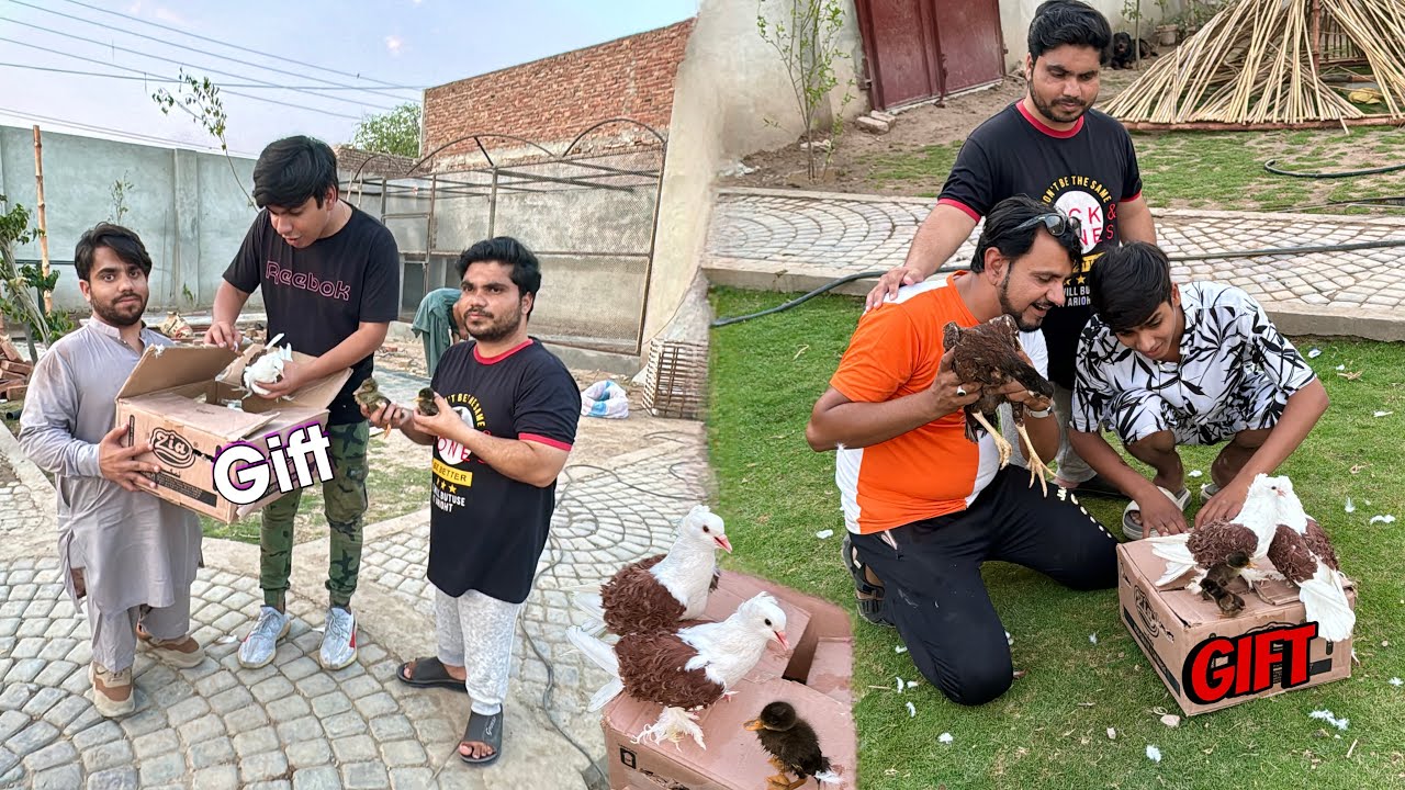Choto Log Bht Sara Pets Gift Ly Aiy 😍