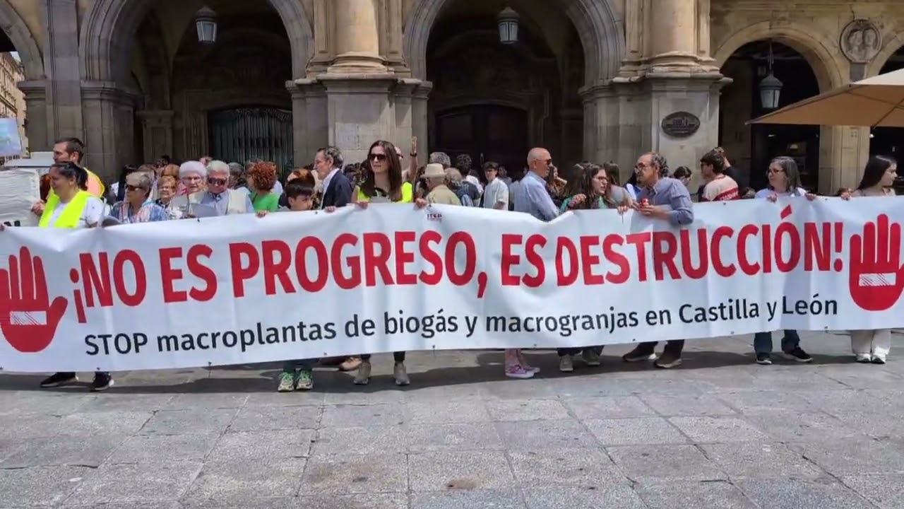 Manifestación en la Plaza Mayor de Salamanca contra las plantas de biogás