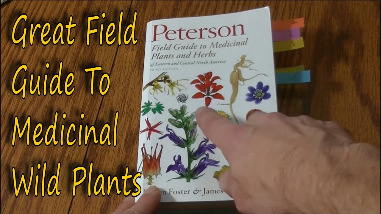 Peterson Field Guide to Medicinal Plants - Review