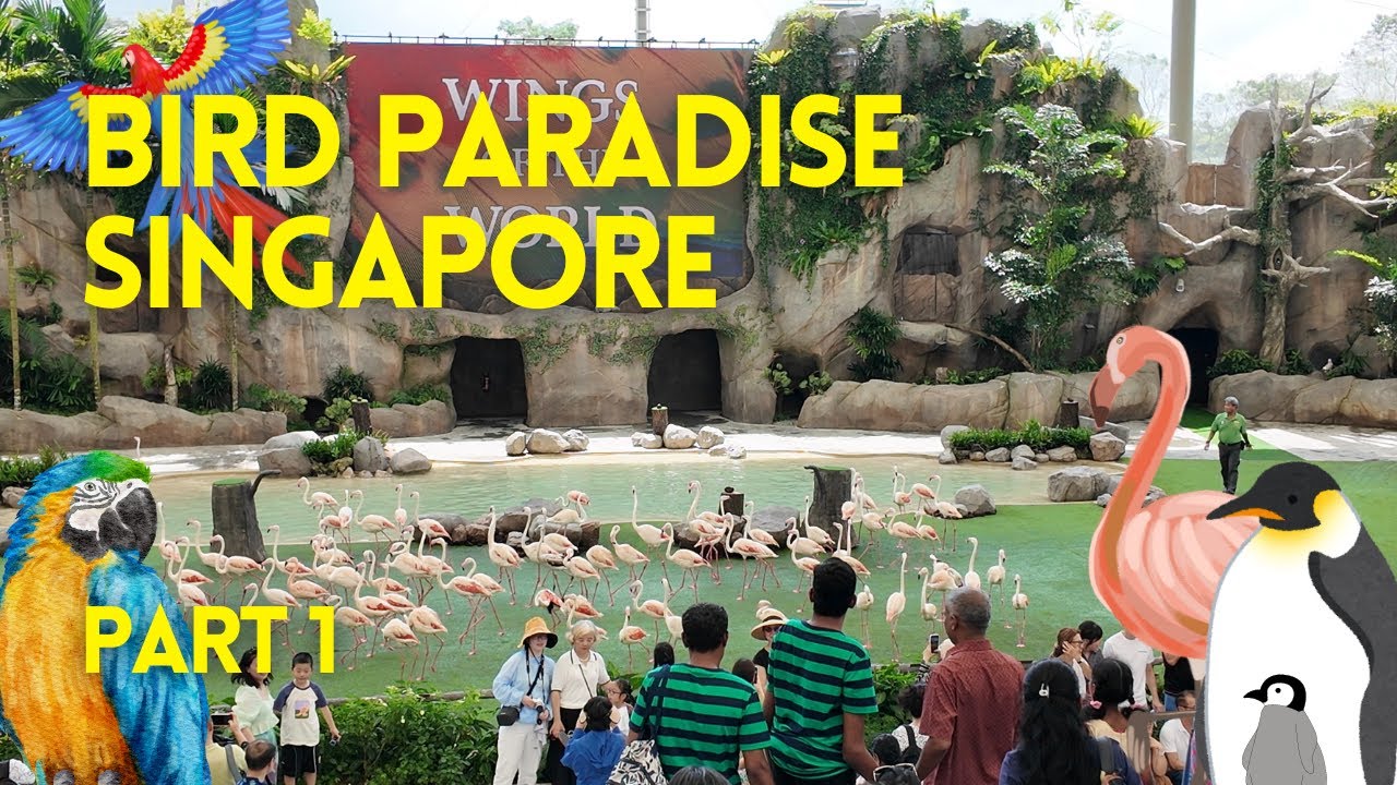 Bird Paradise 4K | Part 1 of 2 | Mandai, Singapore