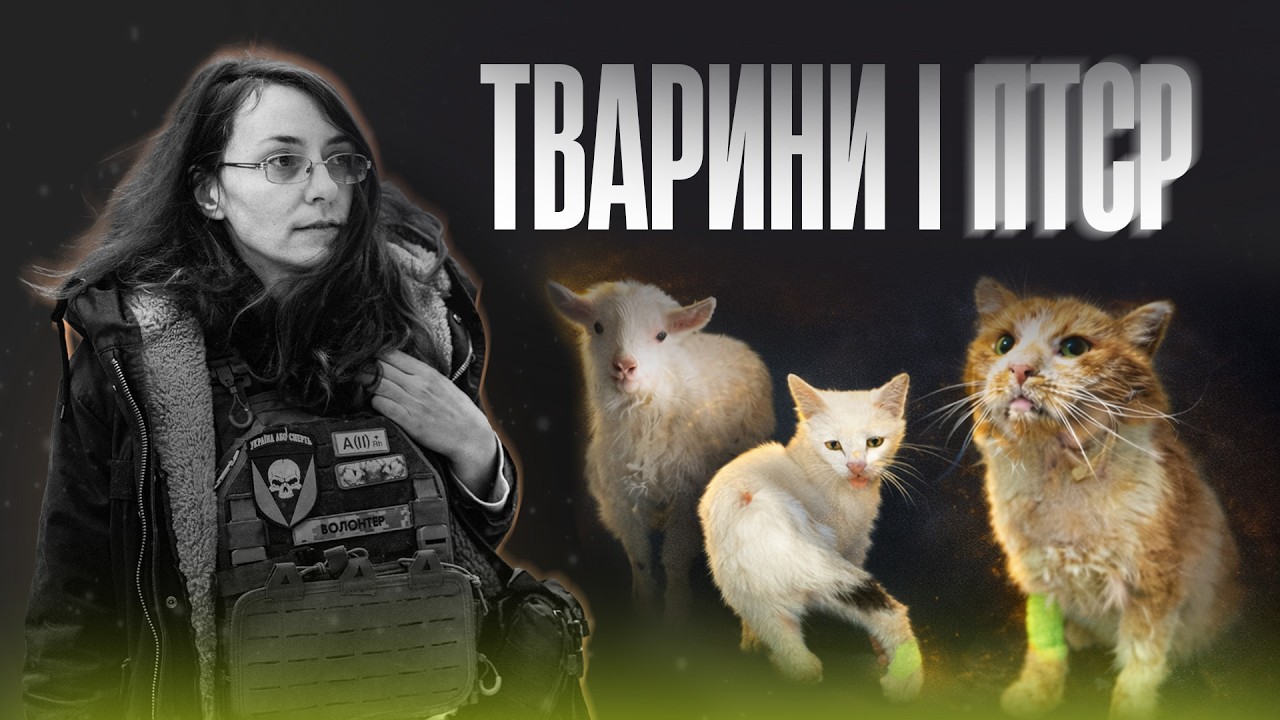 Чи мають тварини ПТСР? Як війна ламає тварин зсередини