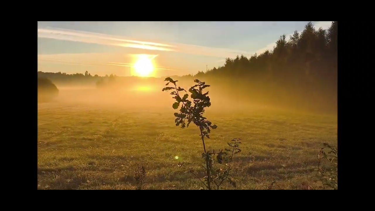 2025-09-28 06:44 Świdwin-Rąbino