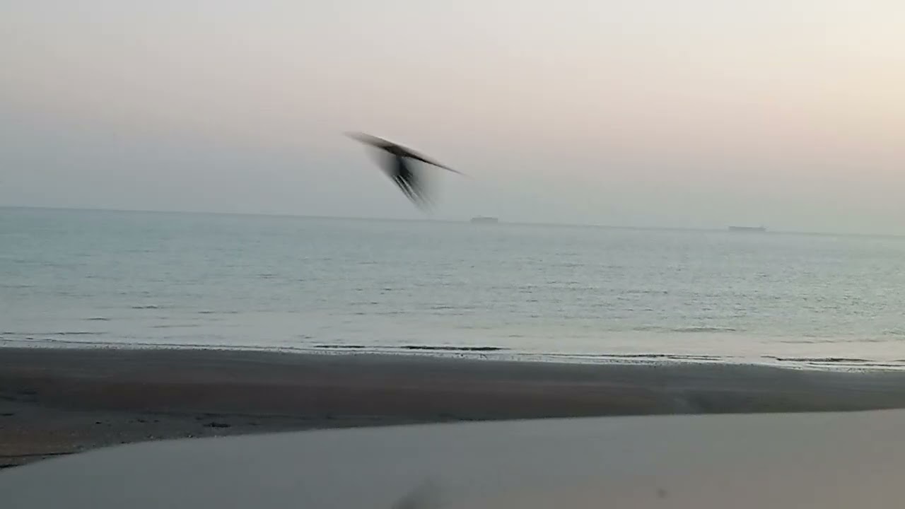 يبتلى المؤمن _ التنطع 