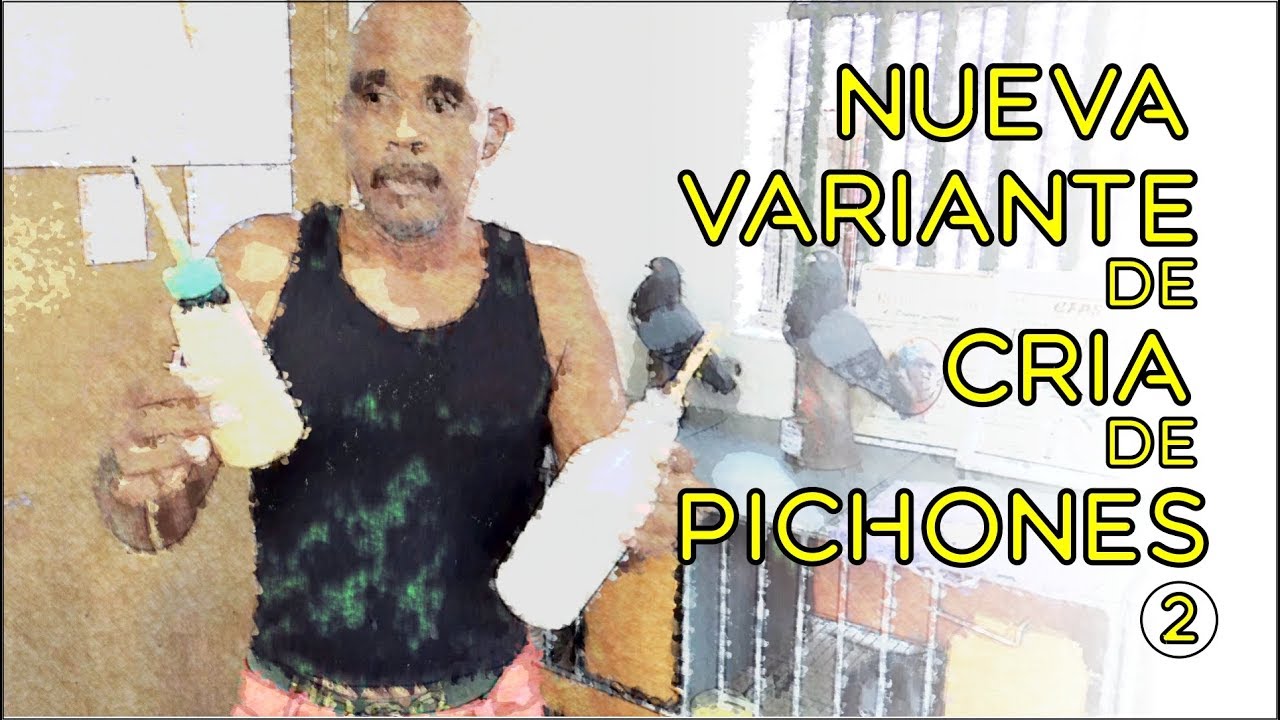 Nueva Variante de Cría de Pichones puesta en práctica por Conde. Parte 2