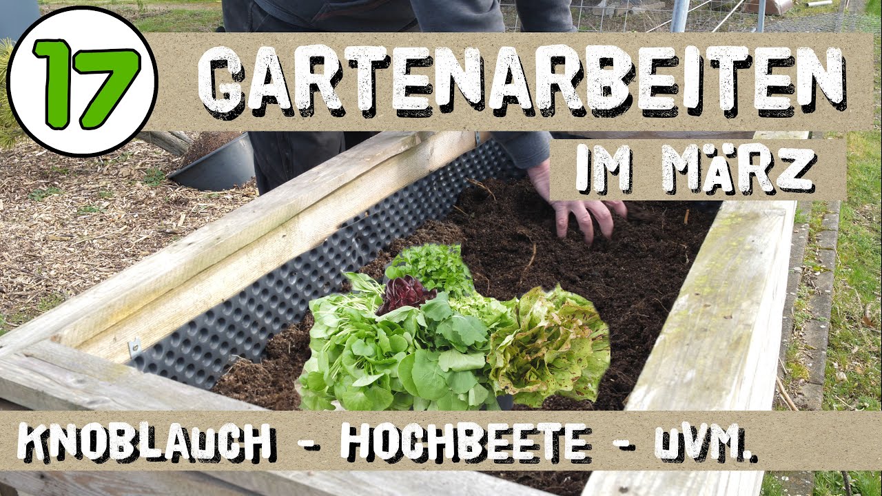 17 Gartenarbeiten mit denen du im März loslegen kannst - Gemüse, Boden, Düngen, Knoblauch, Erdbeeren
