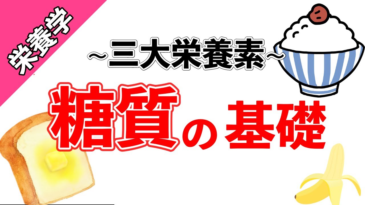 【栄養学】糖質の基礎知識！トレーナーがわかりやすく解説！【タロ塾＃63】