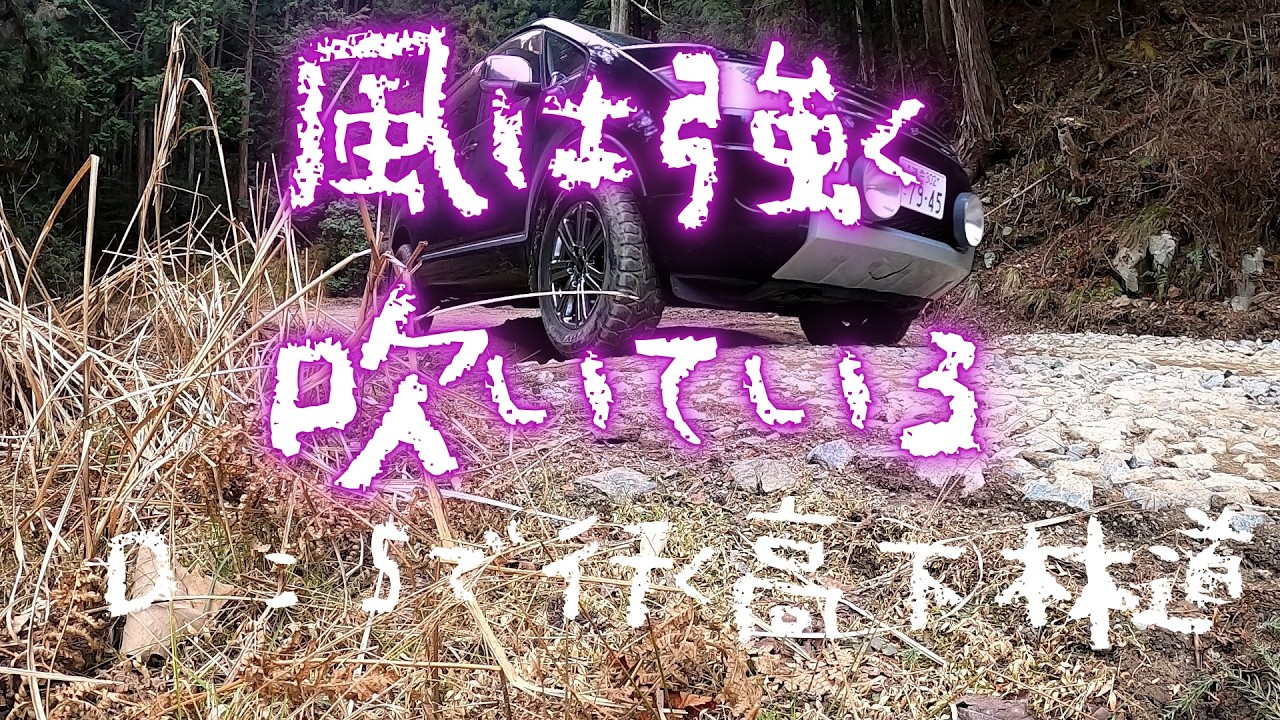 Ｄ：5で行くで行く高下林道