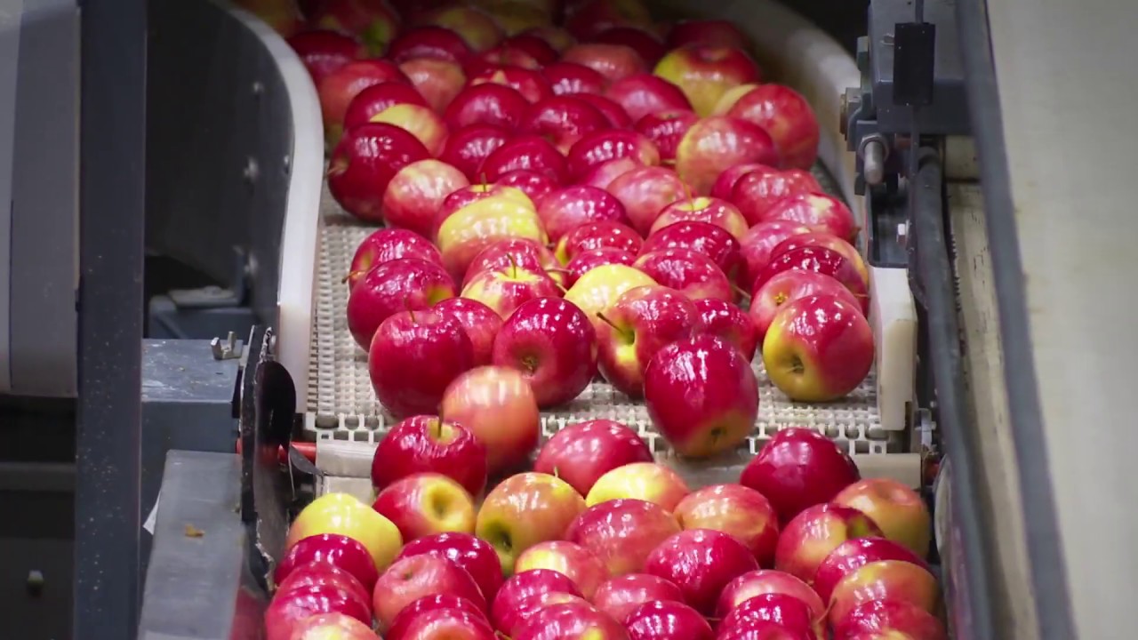 Jeff Leonardini IPM Manager, Washington Fruit & Produce Company