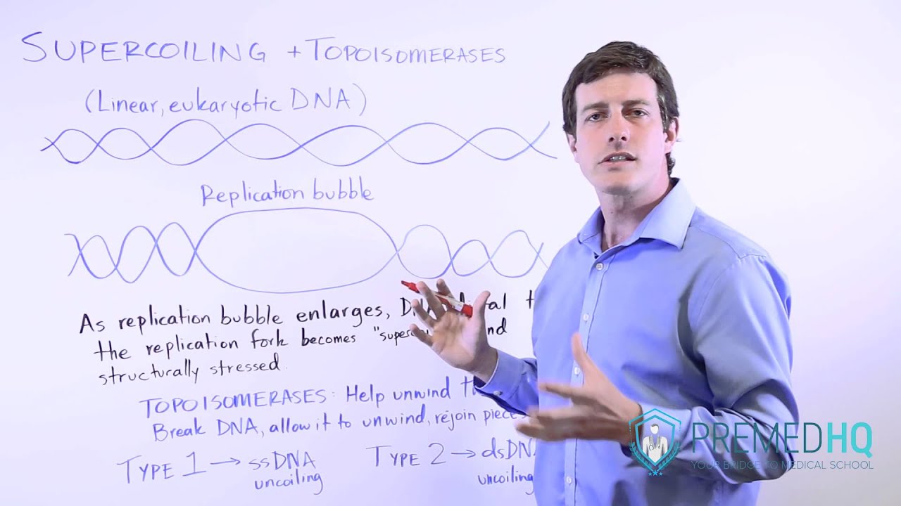 DNA Supercoiling and Topoisomerases