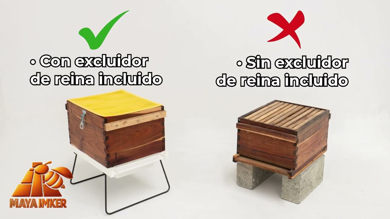 COLMENA Multihive vs Convencional