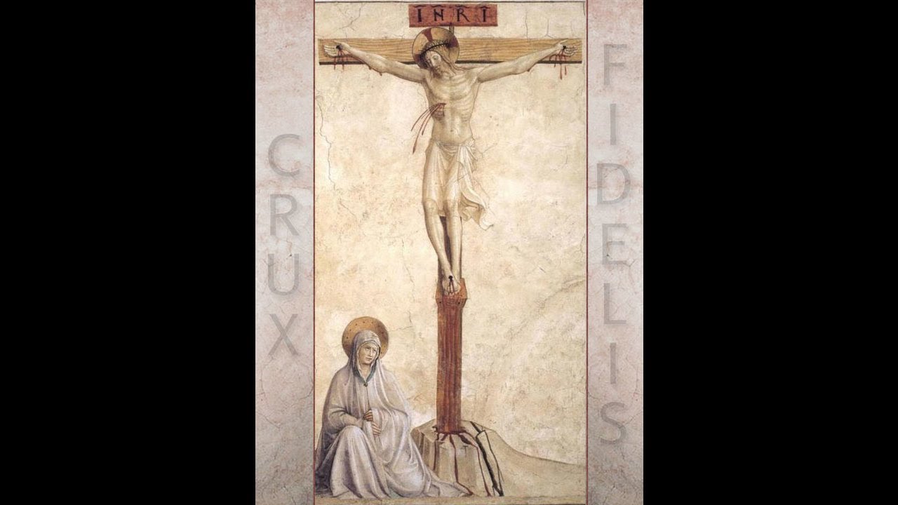 Clothed with white robes with palms in their hands (on the Saints)