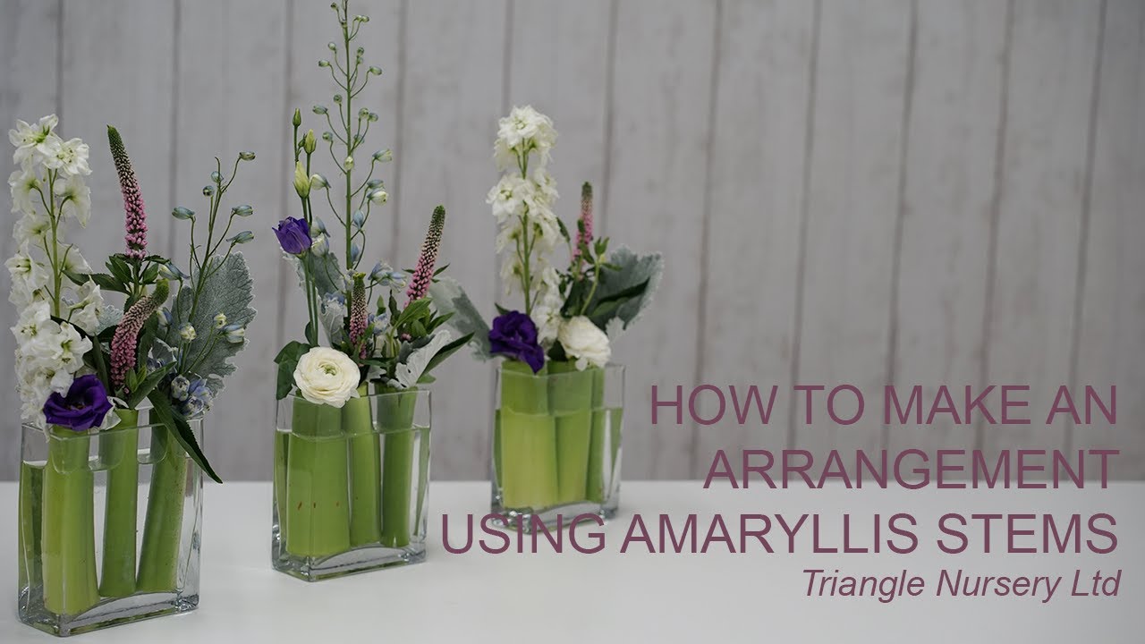 How to Make a Modern Twist of a Jam Jar with Amaryllis