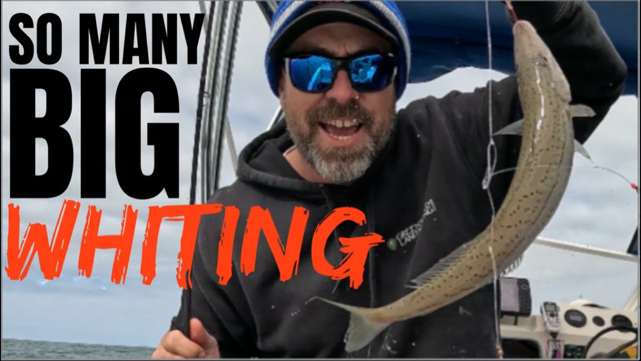 South Australia's Fishing Hot Spot For GIANT Whiting!!