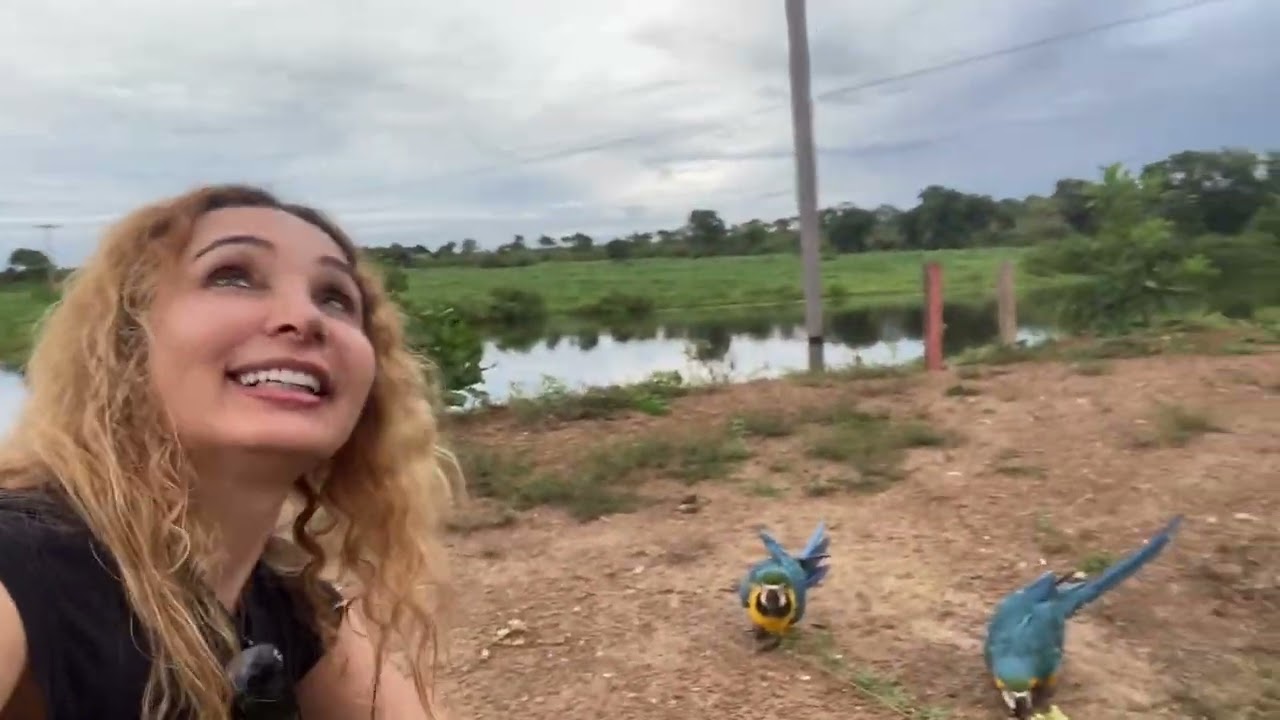 Entre Cantos e Cores: A Natureza Selvagem de Tocantins