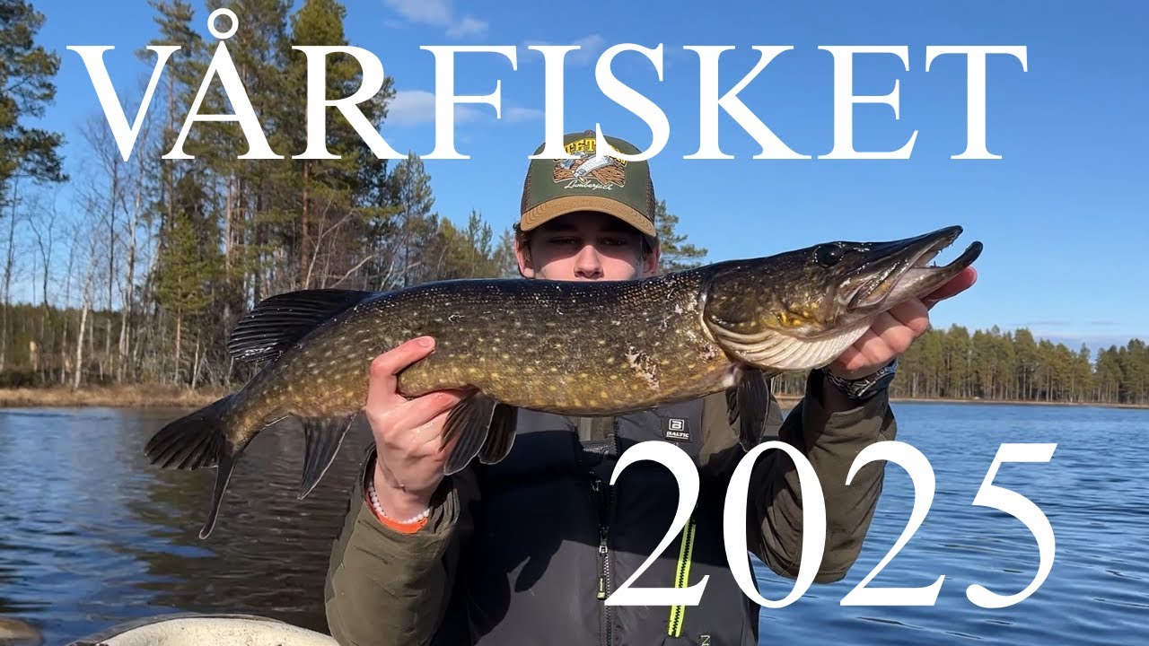 TIDIGT VÅRFISKE  |  STORGÄDDA?!