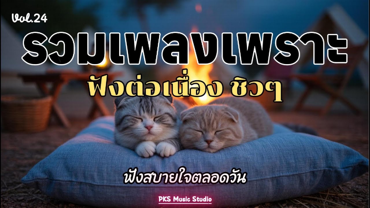 เพลงเพราะๆ ฟังสบายๆ ไม่มีโฆษณาคั่น ฟังยาวๆ 2025ม 2026 ฟังในร้านกาแฟ