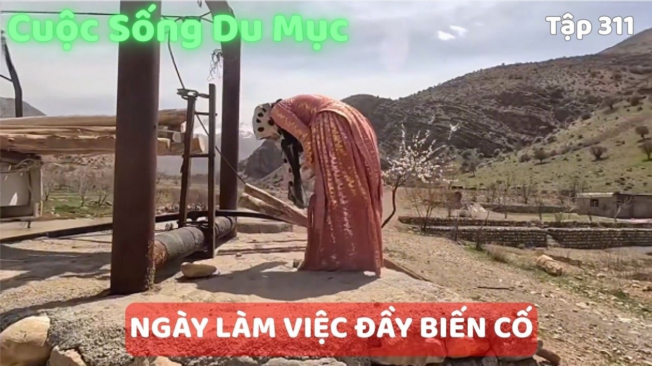 Cuộc Sống Du Mục Iran : Quyết Tâm Giữ Quyền Nuôi Con Và Chuyến Đi Vác Gỗ Đầy Gian Nan Của Mina