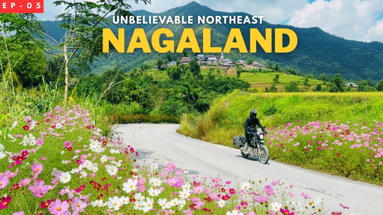 Nagaland Like You’ve Never Seen Before 🌸 | Unbelievable Northeast | EP-05