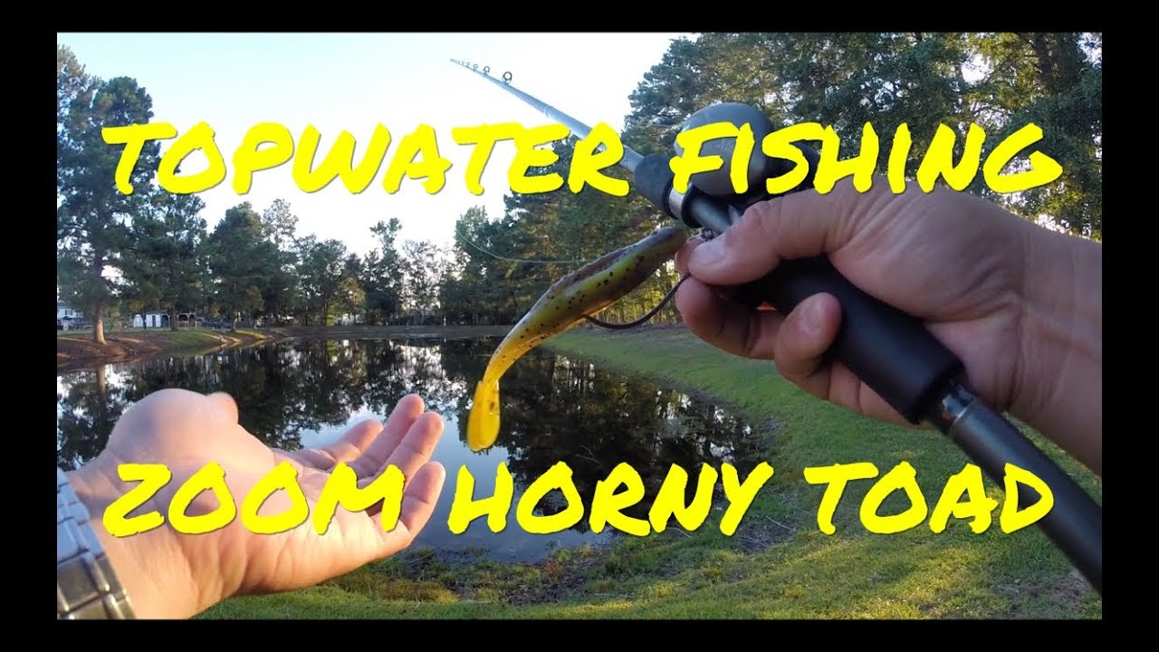 Zoom Horny Toad BullFrog Topwater Bass Fishing