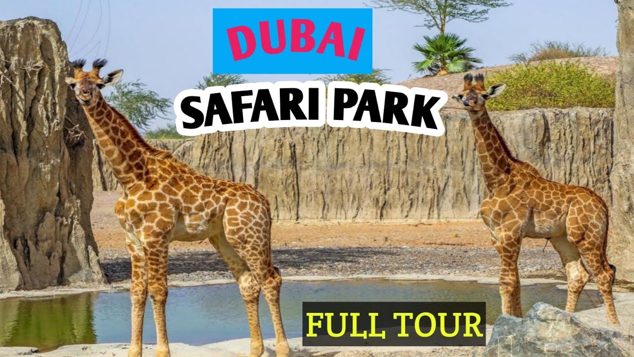 DUBAI SAFARI PARK ADVENTURE!      Full tour of Dubai SAFARI Park                   Fun with animals